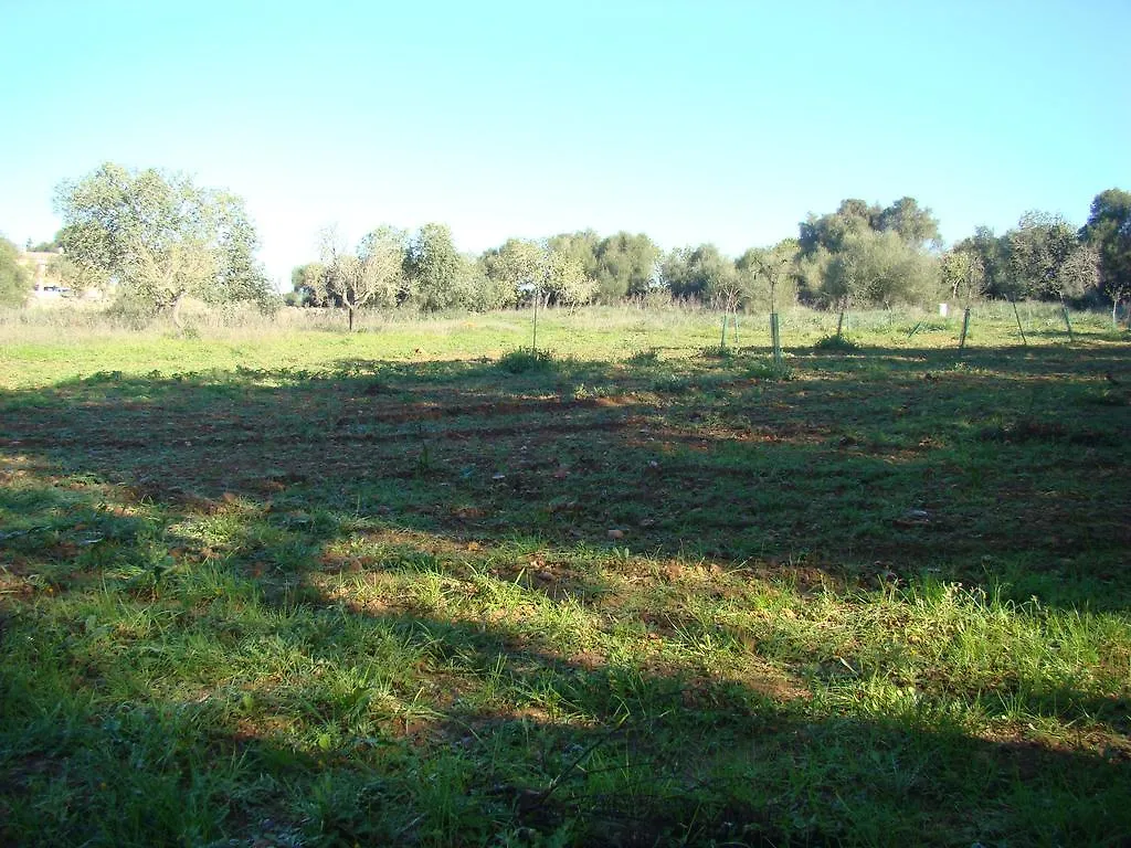 Gospodarstwo agroturystyczne Cas Padri Guillem Hotel Sant Llorenc Des Cardassar