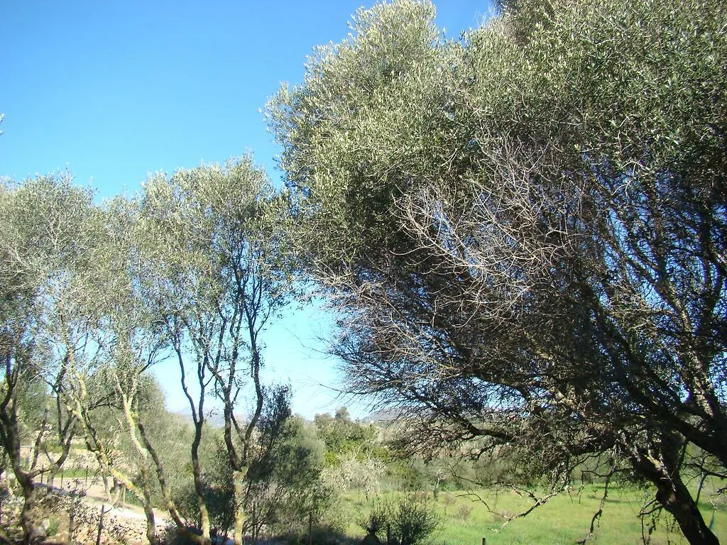 Cas Padri Guillem Hotel Sant Llorenc Des Cardassar