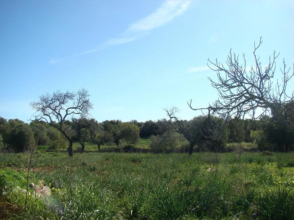 Cas Padri Guillem Otel Sant Llorenc Des Cardassar İspanya