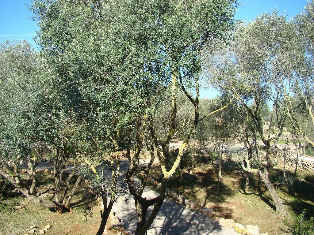 Cas Padri Guillem Hotel Sant Llorenc Des Cardassar 0*,  Hiszpania